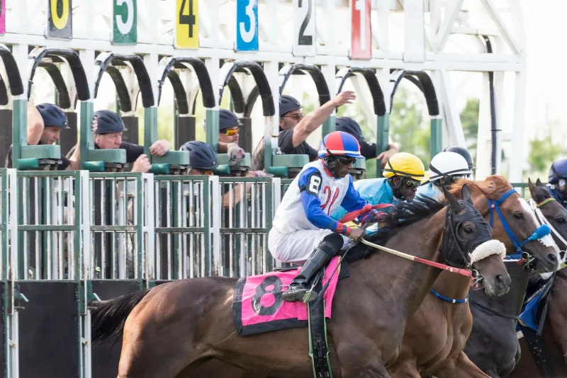 Fresh Form or False Prophet? Why Aussie Punters Keep Getting Burned by Recent Results