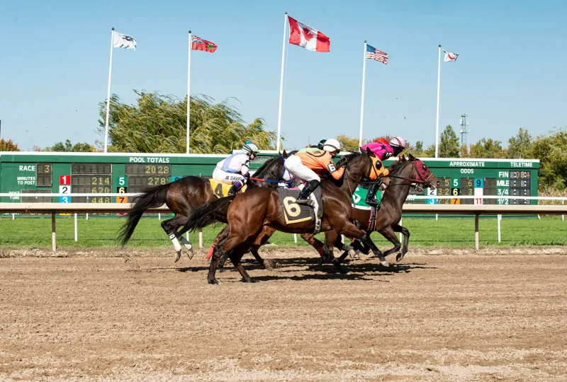 Ghost Money: How Horses Nobody's Backing Still See Their Odds Collapse